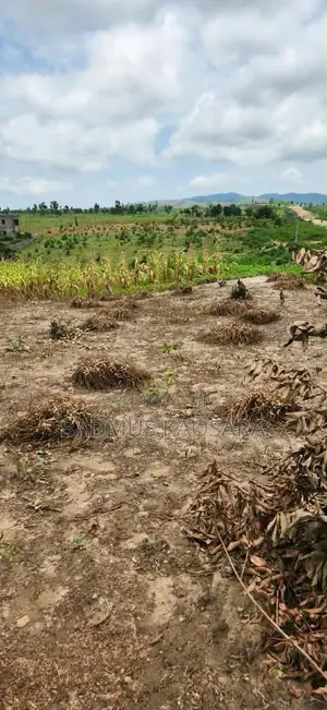 Prime Residential Land for Sale - 500SQM Kuje