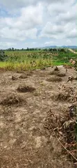 Prime Residential Land for Sale - 500SQM Kuje - 2