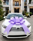 Purple Car Bow Art Card - 1