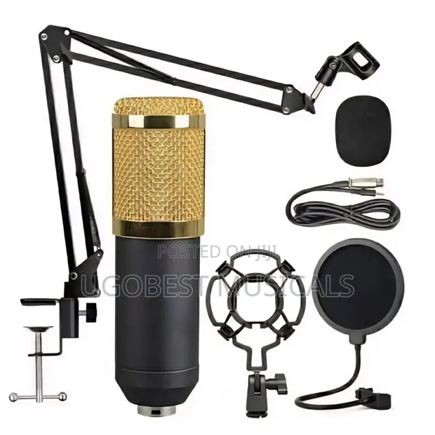 BM-800 Condenser Microphone Studio Recording Bundle - 1
