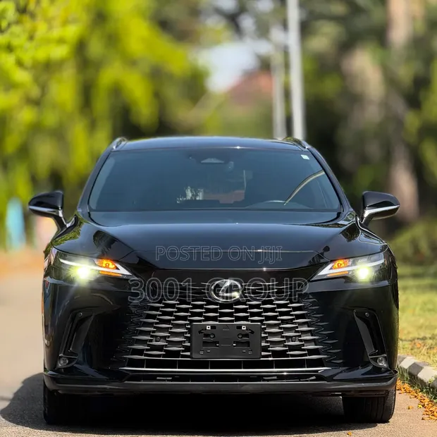 2024 Lexus RX 350 Black - 1