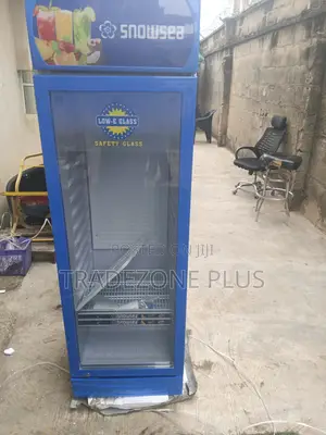 Snowsea LC-300W Upright Beverage Cooler
