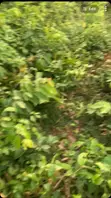 1 Plot of Residential Land for Sale in Akufo, Ido - 2