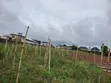 Industrial Land for Sale - 9000sqm - 1