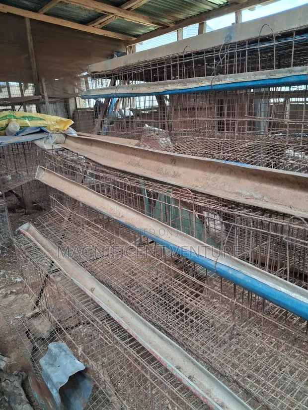Used 3-Layer Poultry Bird Cage (Metal) - 1