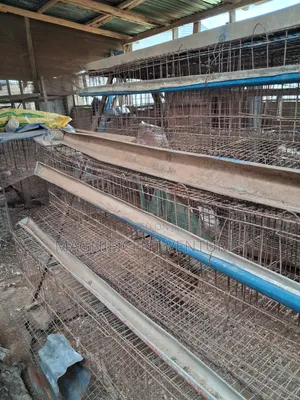 Used 3-Layer Poultry Bird Cage (Metal)
