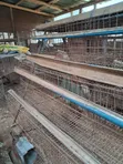 Used 3-Layer Poultry Bird Cage (Metal) - 1