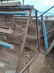 Used 3-Layer Poultry Bird Cage (Metal) - 2