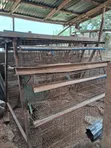 Used 3-Layer Poultry Bird Cage (Metal) - 3