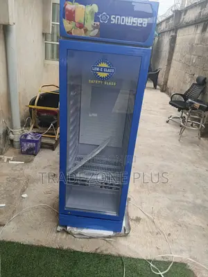 Snowsea LC-300W 300L Upright Commercial Chiller