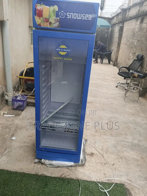 Snowsea LC-300W Upright Cooler for Retail Display - 1