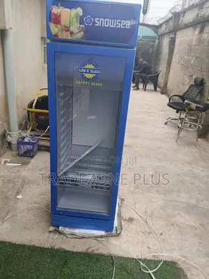Snowsea LC-300W Upright Cooler for Retail Display