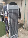 Snowsea LC-300W Commercial Drinks Cooler 300L - 1