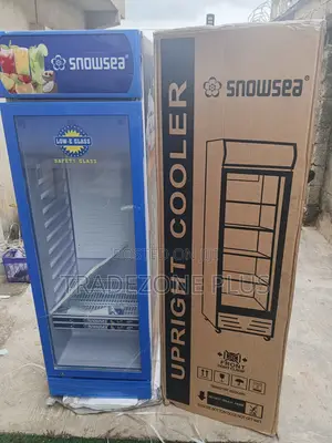 Sabon Snowsea LC-300W Upright Cooler don Kasuwanci