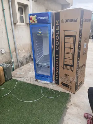 Snowsea 300L Mai Sanyaya Abin Sha na Shago