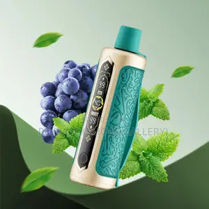 Oxbar Rovota 60000 Puffs Disposable Vape - Inabi Mint