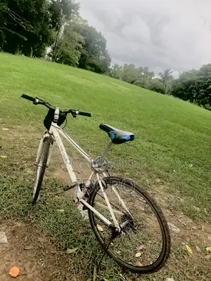 Crane Exercise Bike