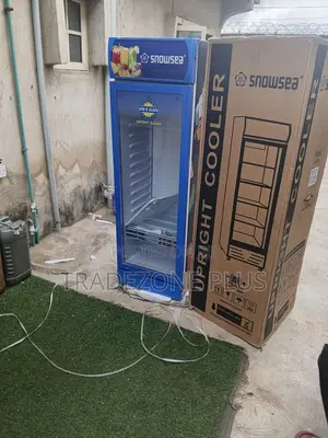 Snowsea 300L Upright Cooler for Shops