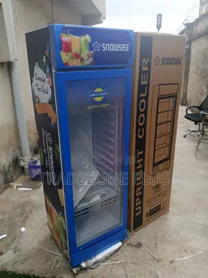 300L Snowsea Cooler Mai Tsaye