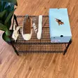 Converse Chuck Taylor All-Star Golf Le Fleur "Darryl - Dachshund" - 4