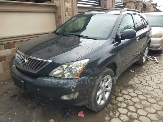Lexus RX 350 2007 Grey - 1