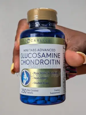 Carlyle Glucosamine Chondroitin MSM Turmeric 250 Tabs | Joint Relief