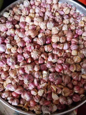 Premium Natural Seeds, Herbs & Homemade Spices