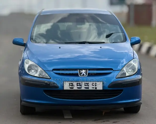 Peugeot 307 2005 Blue - 1
