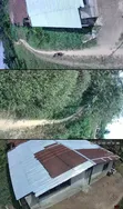 400 Hectares Cleared Farm Land for Rent in Akure - 1
