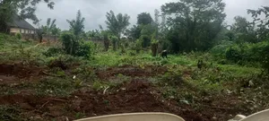Hekta 400 na Filin Noma Mai Tsabta don Hayarwa a Akure
