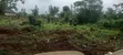 400 Hectares Cleared Farm Land for Rent in Akure - 2