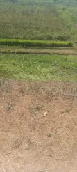 400 Hectares Cleared Farm Land for Rent in Akure - 3