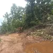 400 Hectares Cleared Farm Land for Rent in Akure - 4