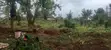 400 Hectares Cleared Farm Land for Rent in Akure - 5