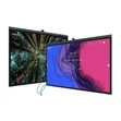 Newline Z Series 65" 4K Interactive Flat Panel Display - 4