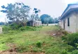 Affordable Land for Sale in Lagos & Ogun - 4