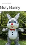 Joynest Events: Event Planning, Decorations & Mascot Rental - 2
