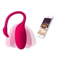 App Egg Control Vibrator - Pink - 1