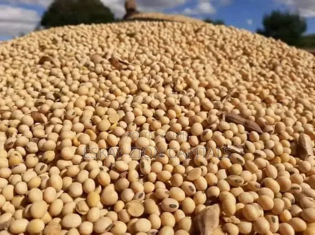 Soyabeans Akwai A Yawa - 1