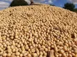 Soyabeans Akwai A Yawa - 1