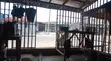 Shop for Rent in Ilorin - Main Road - 4