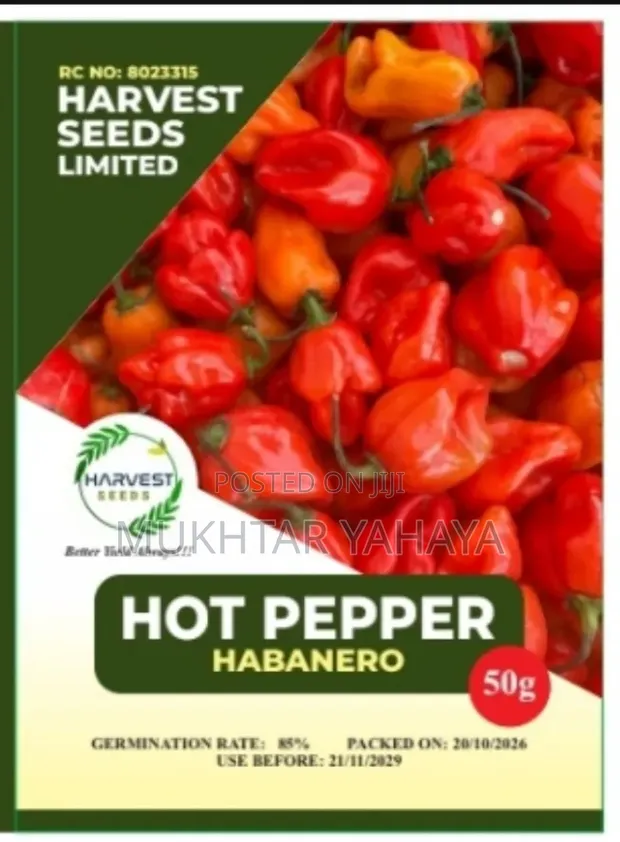 Hot Pepper Seeds, Habanero - 1st Choice - 1