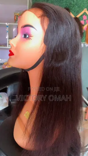 Premium Sleek Straight Lace Wig - Human Hair