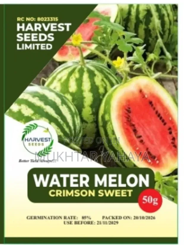 Crimson Sweet Watermelon Seeds - 250 Seeds - 1