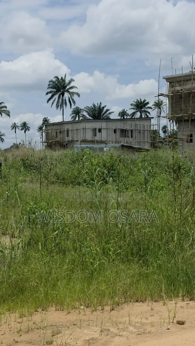 1 Plot of Land at Green Palm Estate, Iriebe - 1