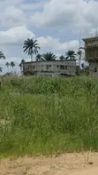 1 Plot of Land at Green Palm Estate, Iriebe - 1