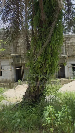 1 Plot of Land at Green Palm Estate, Iriebe