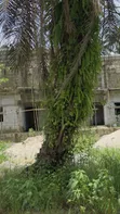 1 Plot of Land at Green Palm Estate, Iriebe - 2