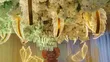 Pallette Eventz: Classy & Luxury Event Decoration - 1
