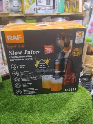 Sabo Raf Slow Juicer